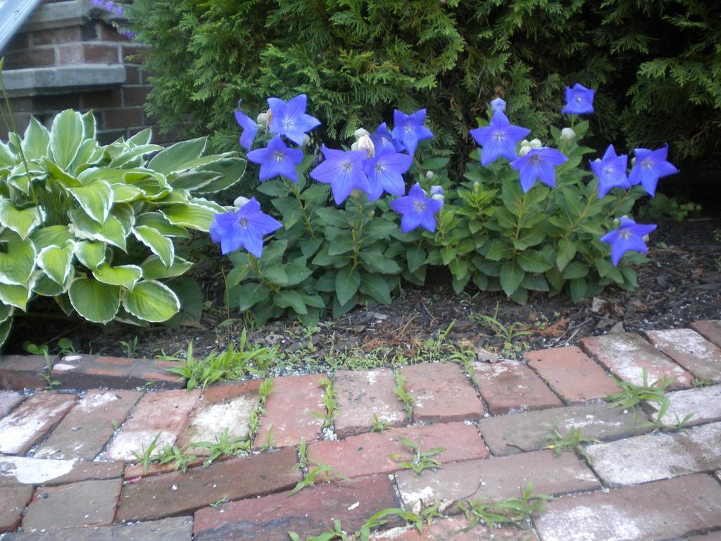 Fleetwood House Bed And Breakfast Portland Luaran gambar