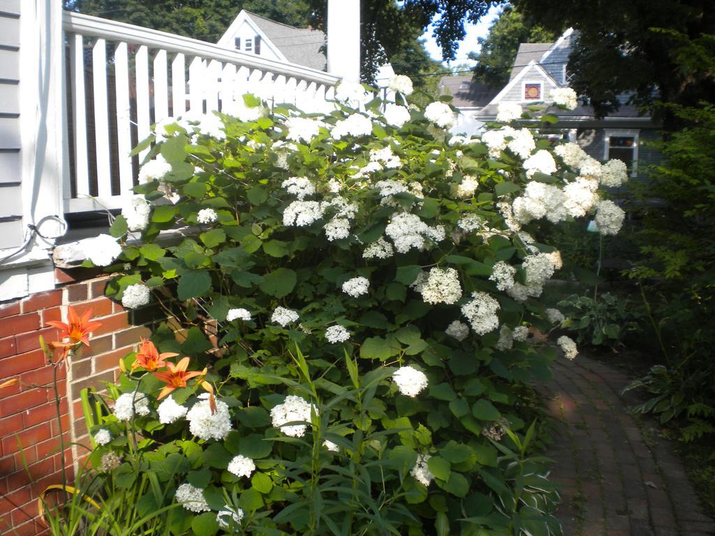 Fleetwood House Bed And Breakfast Portland Luaran gambar