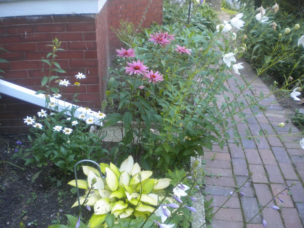 Fleetwood House Bed And Breakfast Portland Luaran gambar